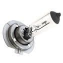 Ampoule Halogène H-7  + 30% LUMIÈRE