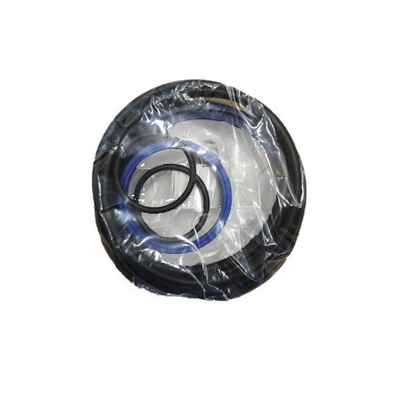 Cylinder oil seal