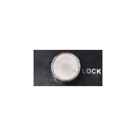 Botón (blanco)